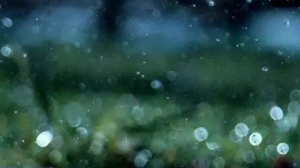 呆听着一城雨