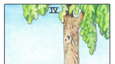 第20250145期参考？