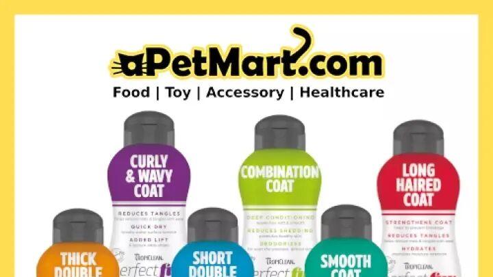 洗欢宠：产品精细化，专业程度攀升（一）