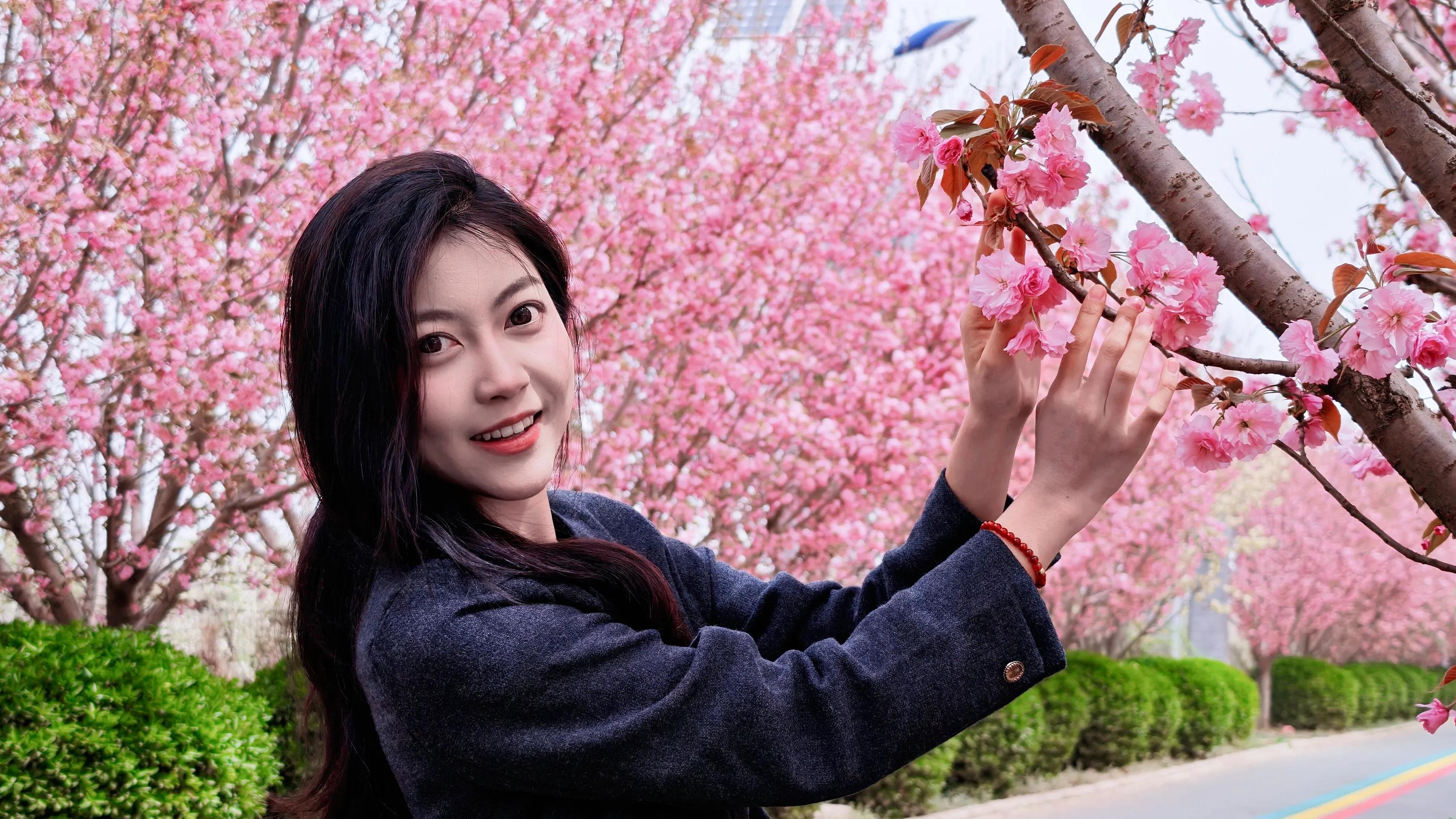 赏花探春之旅，共赴千阳盛景——“花漾千阳 多彩塬上”千阳赏花节