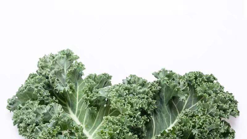 低GI饮食：科学减重的日常实践指南