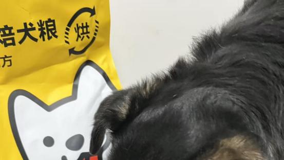 狗粮怎么选什么牌子好？这么多品牌，希喂为什么让我无限回购？