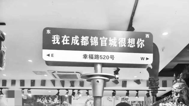 抗癌网红33岁离世，影视新秀24岁猝然凋零，父母双亡少年命运成谜