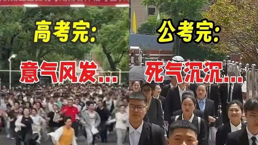 就业太难了，清华北大的毕业生也卷开始考公了