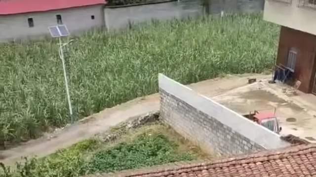 疑邻“作法”酿血案，死刑判决引争议