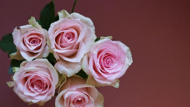 男人说话的方式，藏着婚姻的秘密？