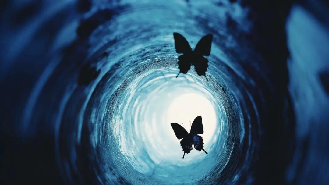 蝴蝶效应：一场收购背后的中国AI创业“第二阶段”