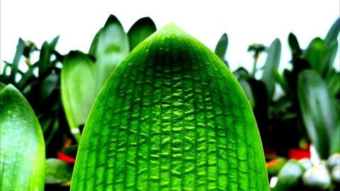 如果人落魄了，就不要打扰任何人！