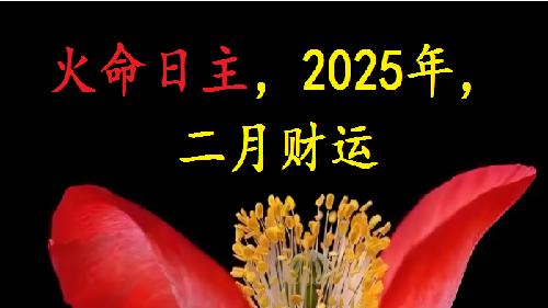 火命日主，2025乙巳年，（阴历）二月财运