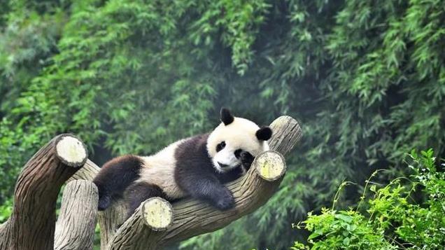 地理冷知识——一句话解锁一个省