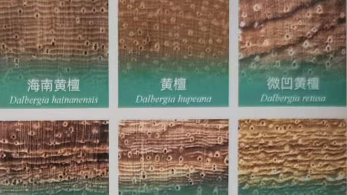 AI智能木材检测设备——真工实料行动计划的科技利剑