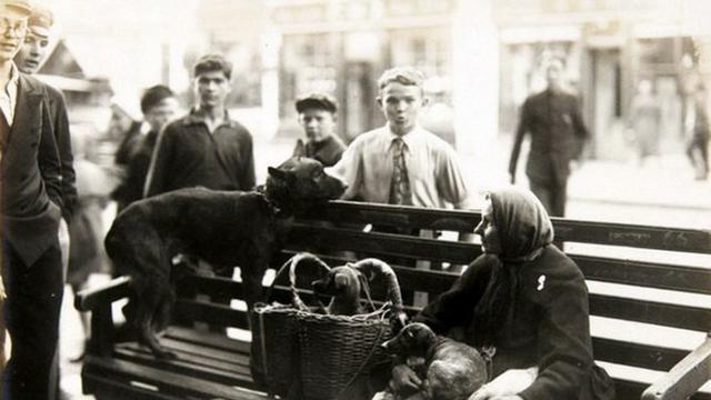 1942年，林育英因病逝世，临终前谈起毛主席后：我想提出一个要求