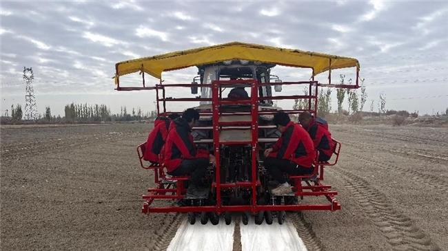 农忙必备神器！钵施然蔬菜移栽机太香啦