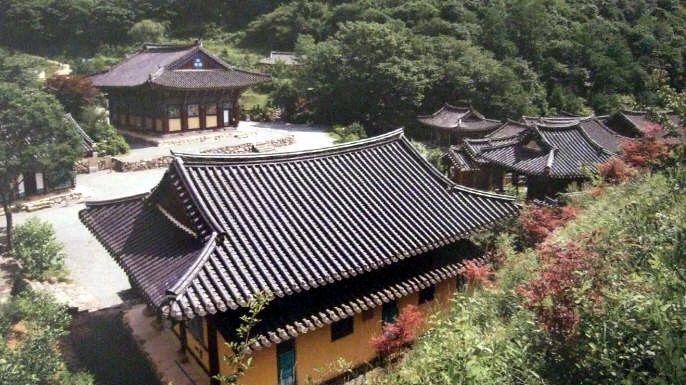 韩国突发山火伤亡惨重，runningman和各明星纷纷支援