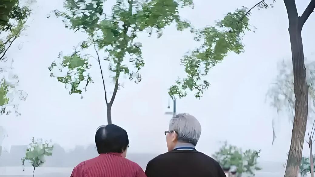 1978年初恋来信说，她还在等我，而我却已经和别人订了婚