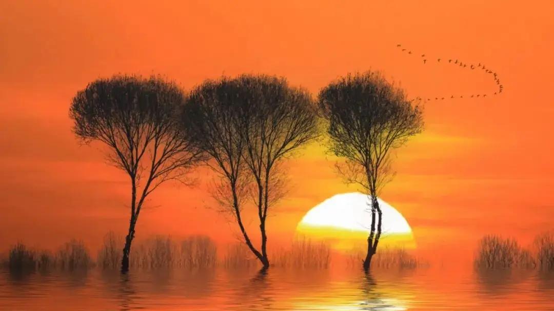 遵循爱因斯坦思路应对生活问题：聚焦问题核心，收获快乐人生