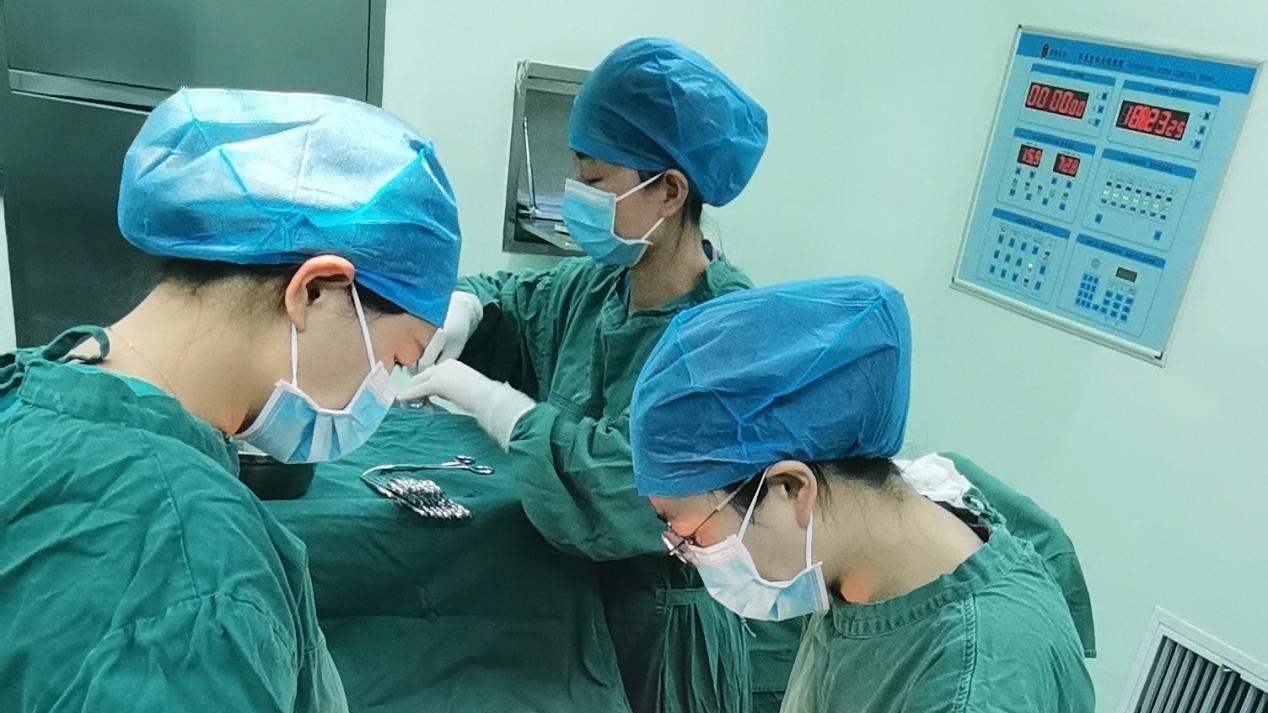 阳新县妇幼保健院——多科协作成功救治一例重度脐动脉栓塞胎儿