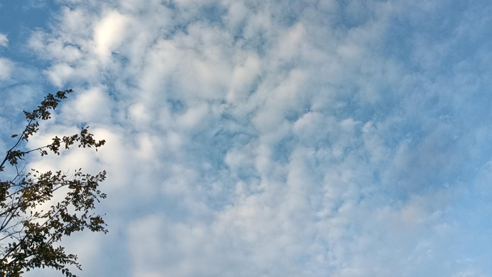 连续八年参评高级职称又没评上导致抑郁症复发？真有这么夸张吗？