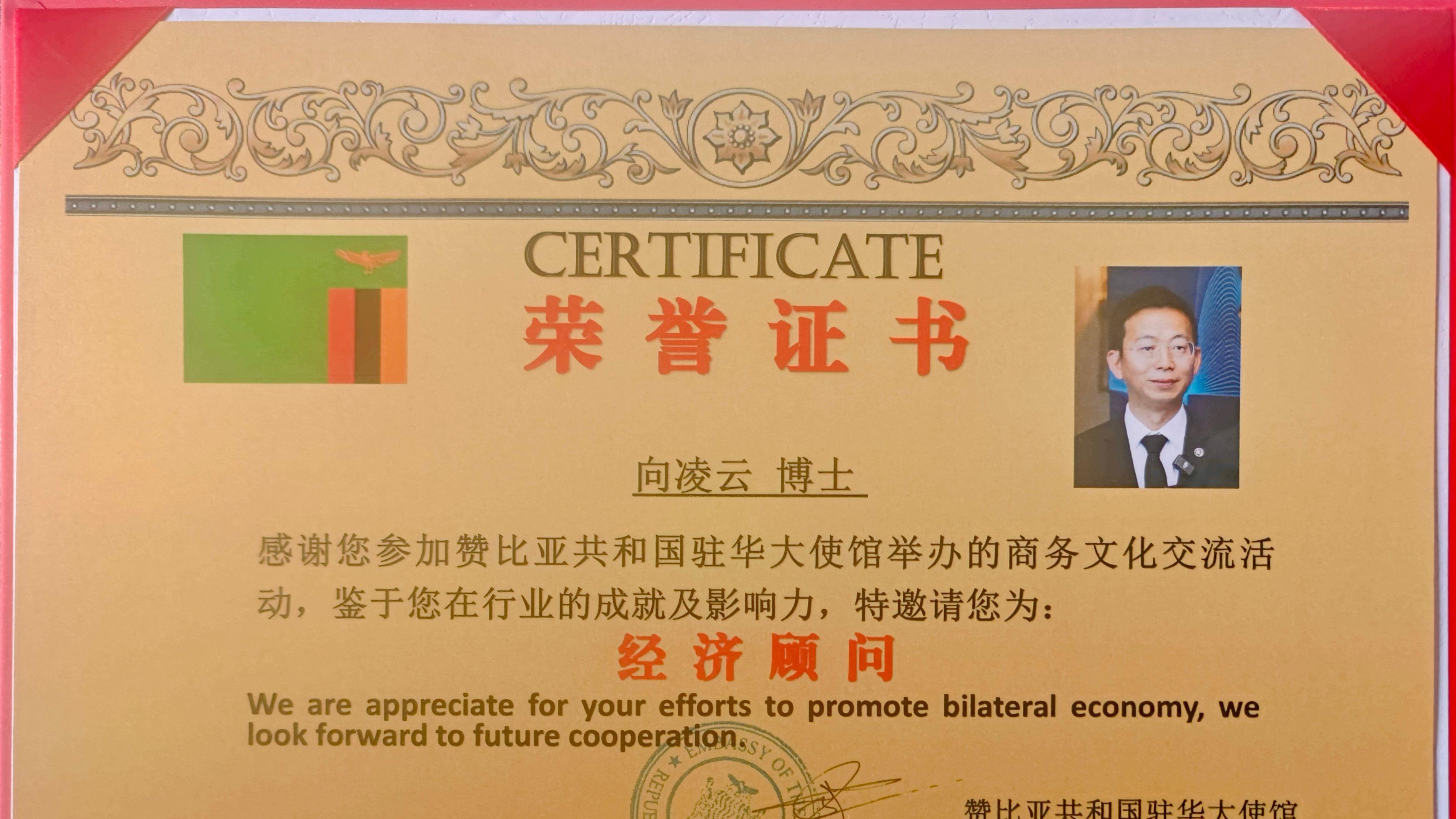 赞比亚驻华大使馆特邀向凌云院士出任经济顾问