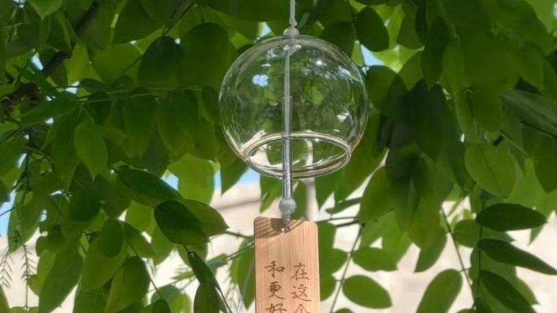 当高学历失去效率时，我们该如何破局