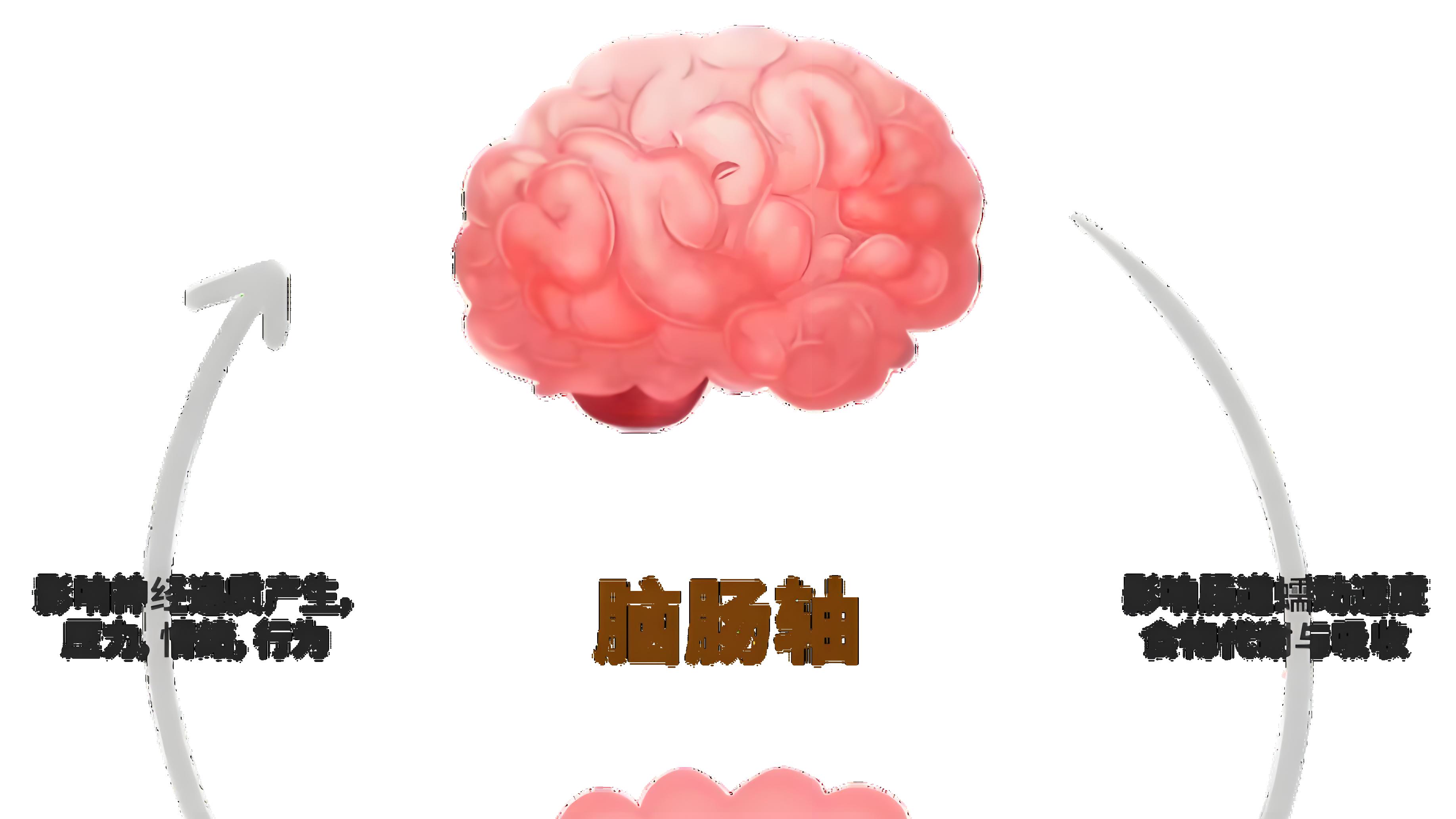 肠道菌群失衡的6大征兆：皮肤问题可能源于肠道