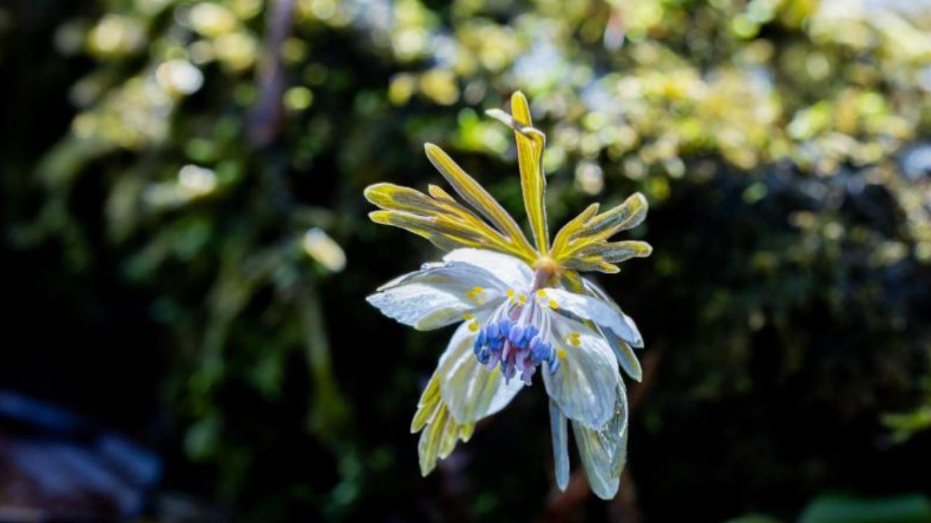 “那段无法见光的中年爱情，要了我半条命”