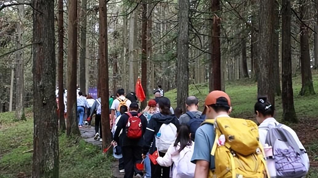 高铁成“引流王”！武隆“双节”迎游客高峰 花海、演出、徒步，全天耍事不重样