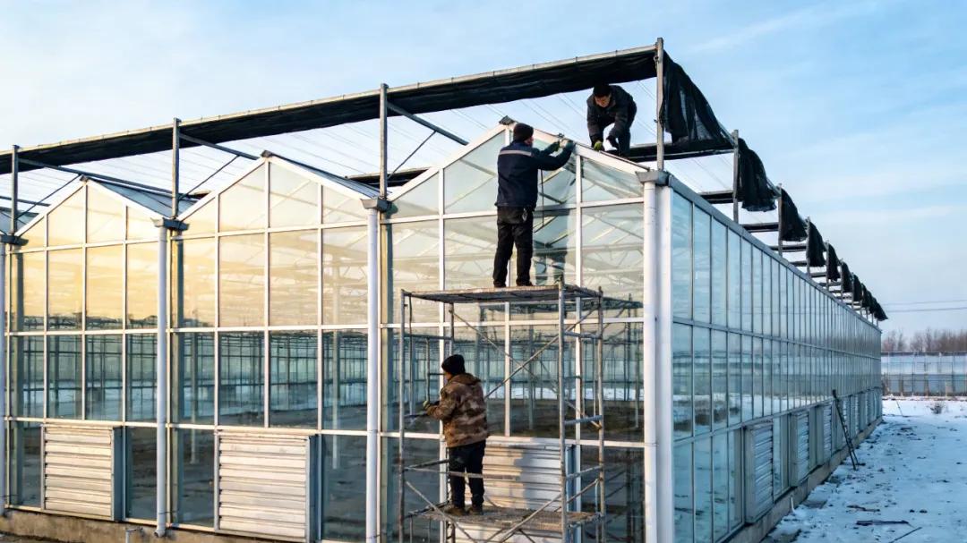 如何提升连栋温室大棚的密封性和保温性能，做好这几点，节能率提升40%不是梦！