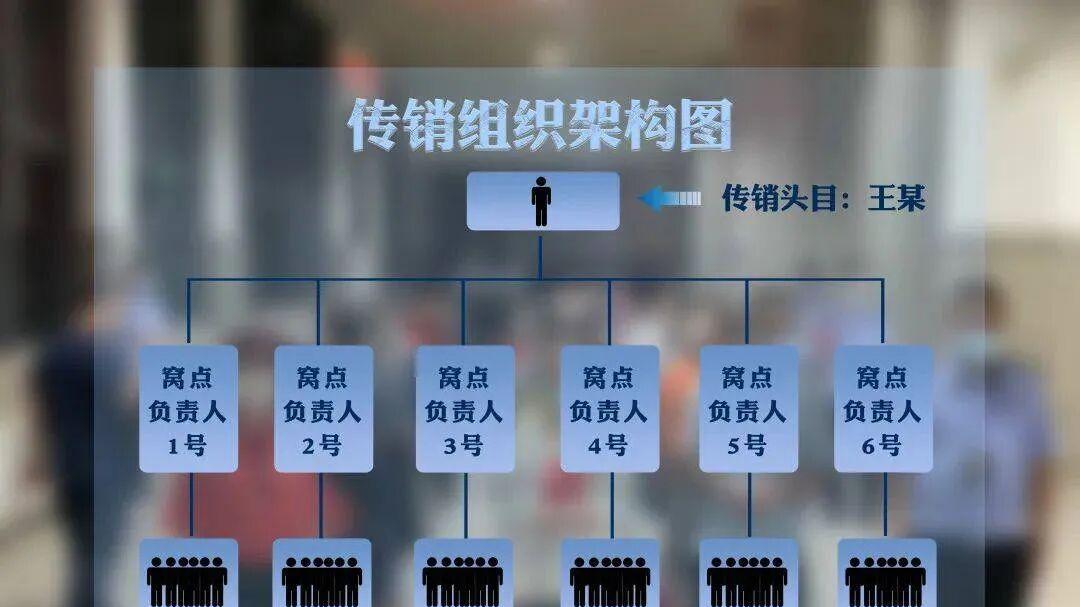 “宏观调控”是什么？传销这么泛滥，是没人管还是宏观调控？
