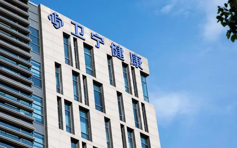 谁将是唯一可能盈利的细分大模型？