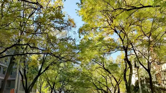 “方山之家”来了：在北京的方山企业有“家”了