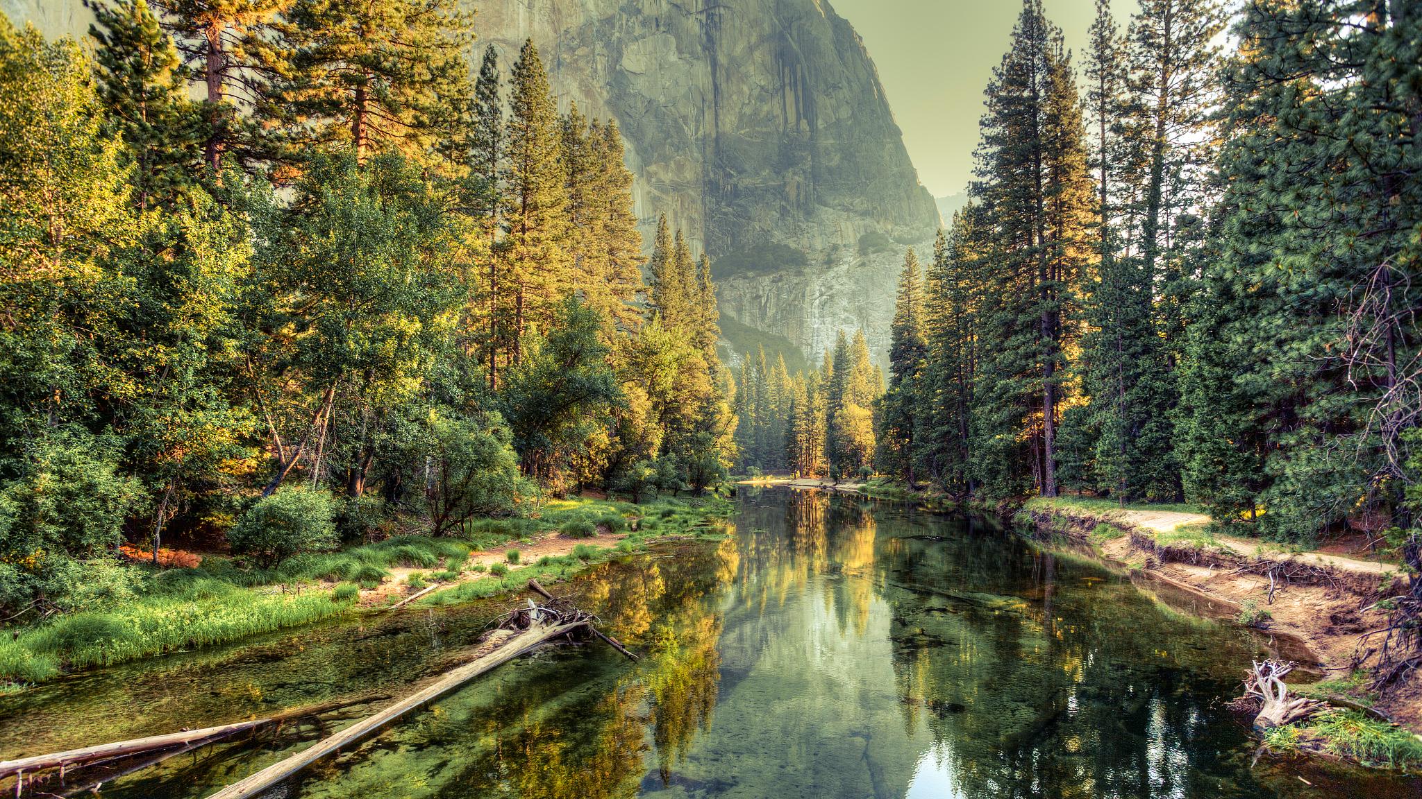 很多人过得不快乐，是因为这两个字