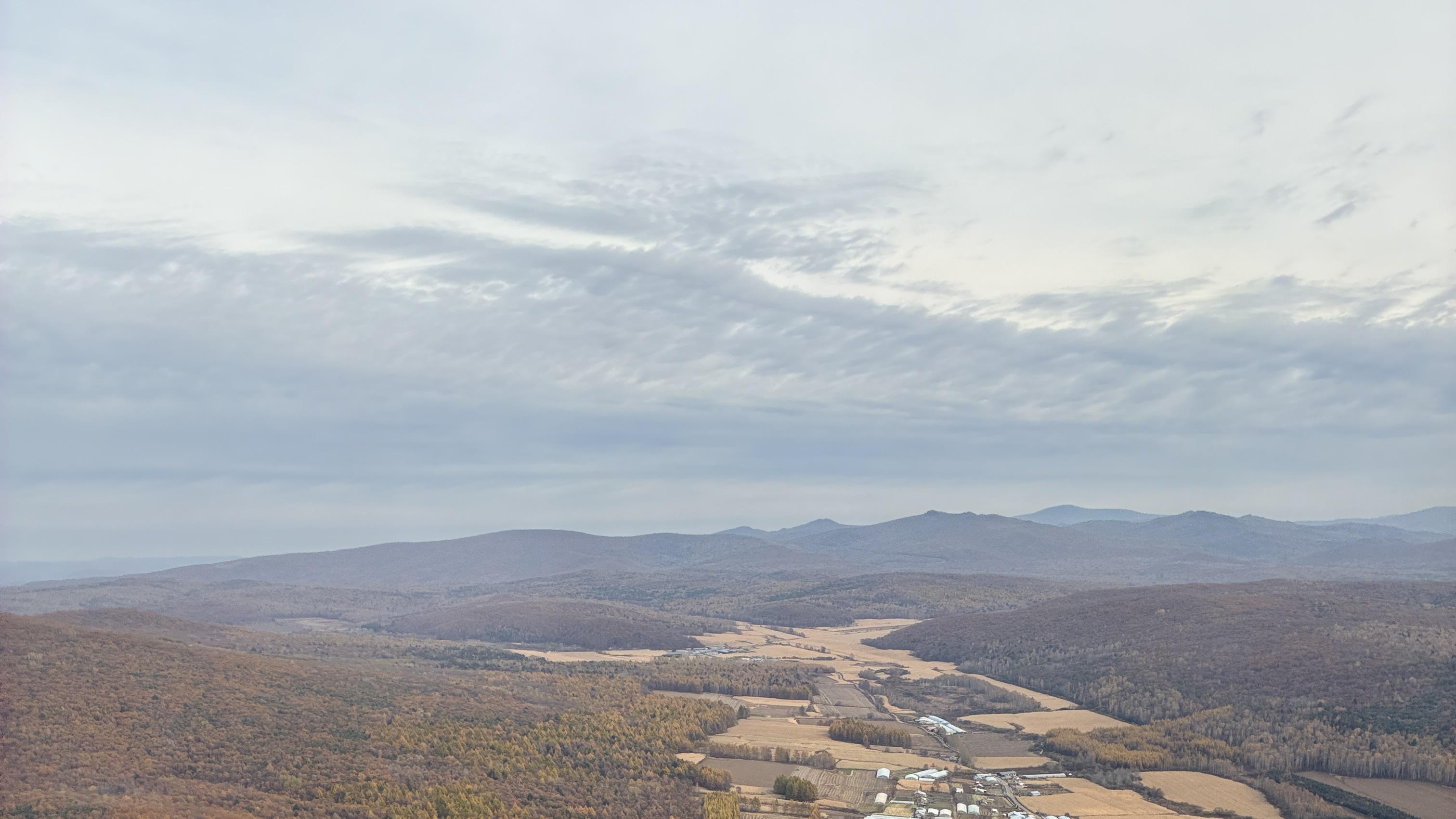 2025乙巳蛇年每日通盛及各生肖运势12月17日