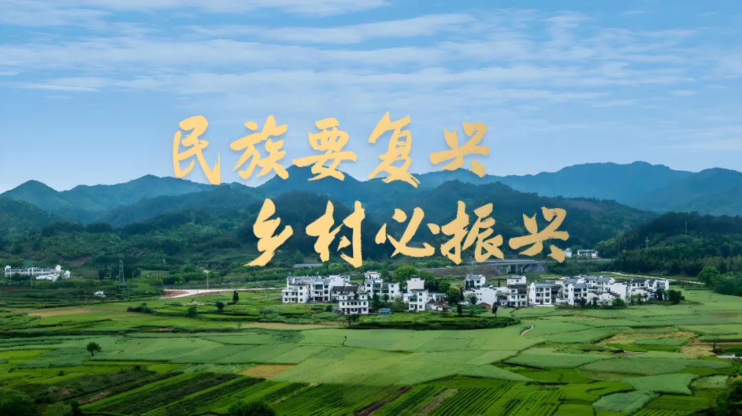 深度解读2025中央一号文件：农村改革背后的“人情味”与现实意义