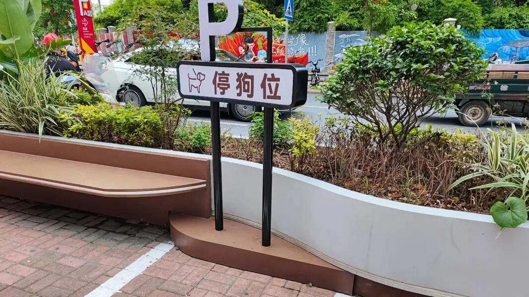 商场给狗子设专属“停狗位”，大学生吐槽老师被起诉！