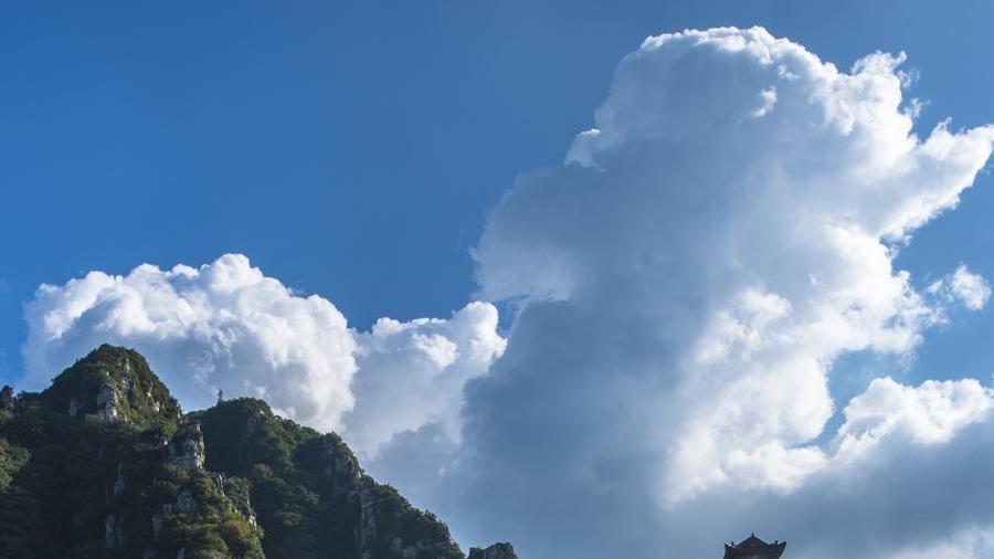山西运城五老峰：云海松涛间的“道教仙山”，解锁华北屋脊的生态密码