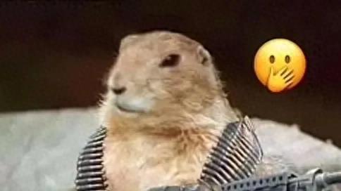 从“耗子扛枪”到深陷舆论漩涡，徐杰的C位争议