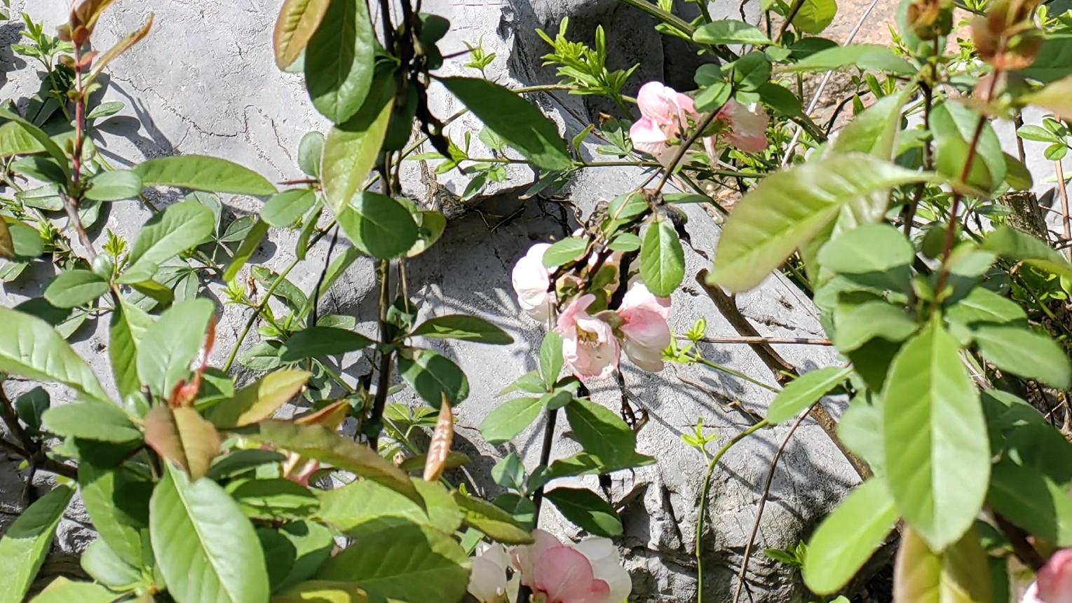 人在职场：做事需要计较，职业需要经营