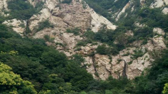 赵洪涛：三十载笔墨绘嵩山