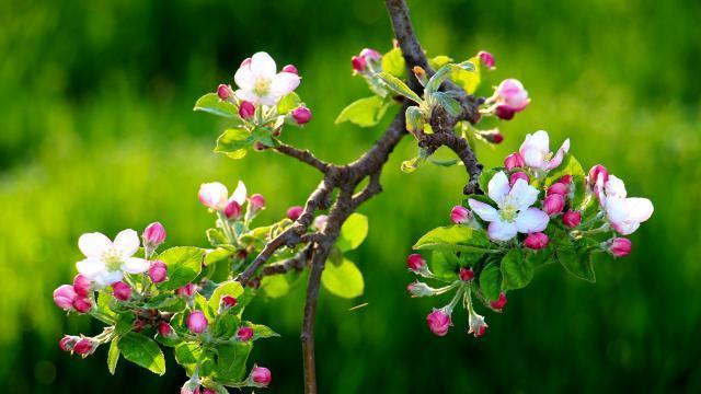 女人想被男人深爱，这4件事绝不能外传