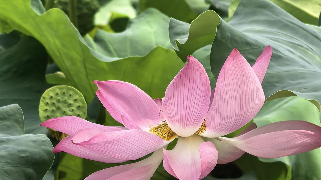 凡是打听你家境的人，都是别有目的