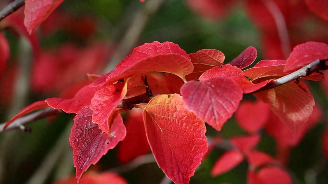 不想倒霉？这3种人，再熟也别深交！