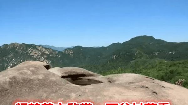 闫梦美文欣赏：石盆村药香