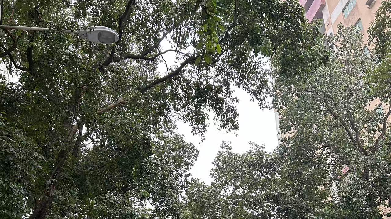 王侯将相，真的宁有种乎？