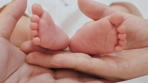 宝宝“慢半拍”别大意！这些“小异常”或是大脑发育的警报灯