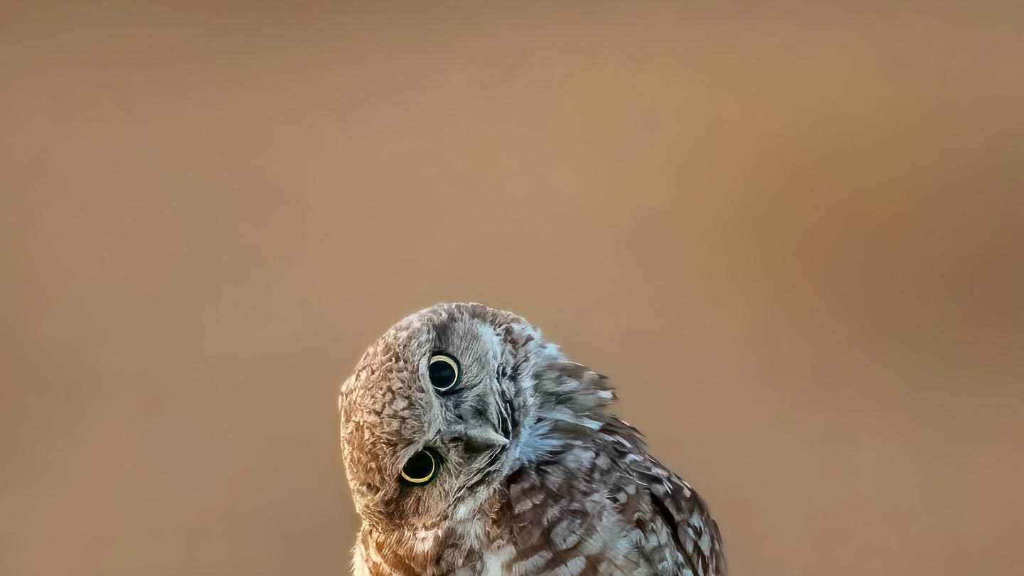 真正的时间管理，是学会“麻烦”别人