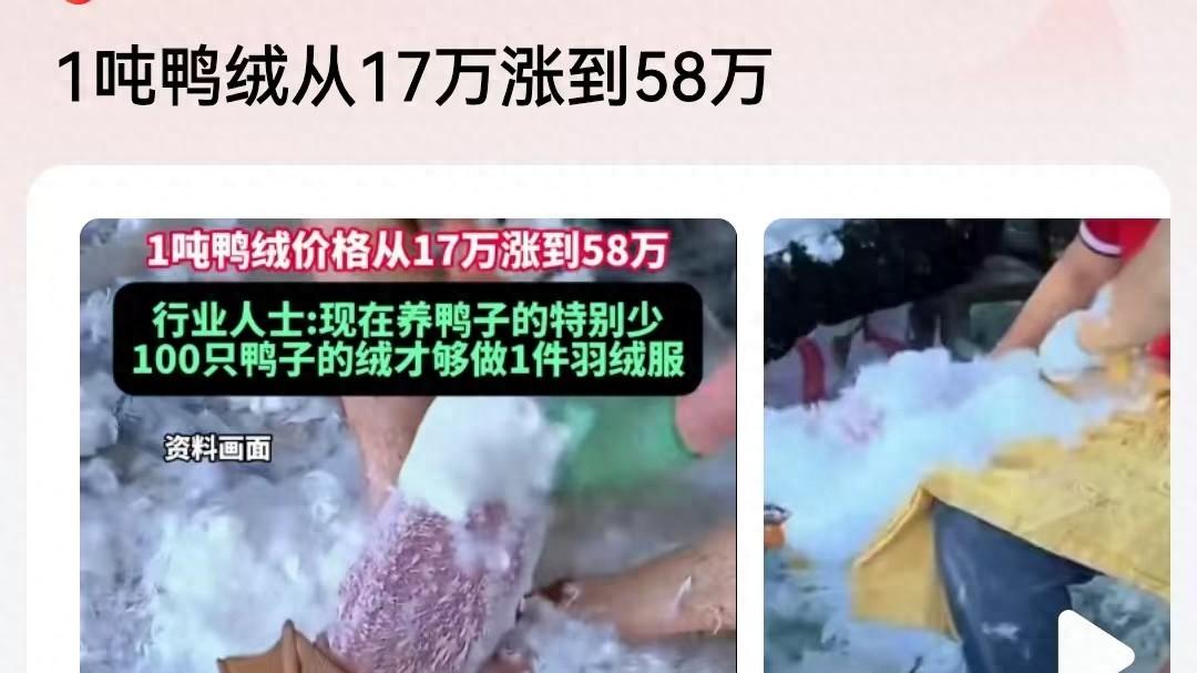 鸭绒涨了3倍，有商家充绒量仅10克，有女子买后退货却塞手机壳？