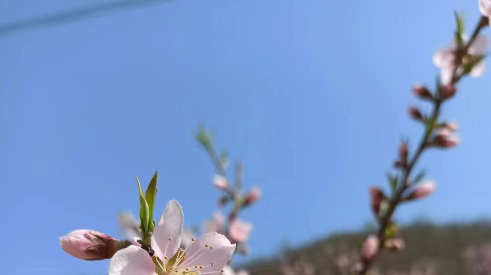 亲戚3次创业失败后，我终于明白普通人为啥难发财了：不赔没天理