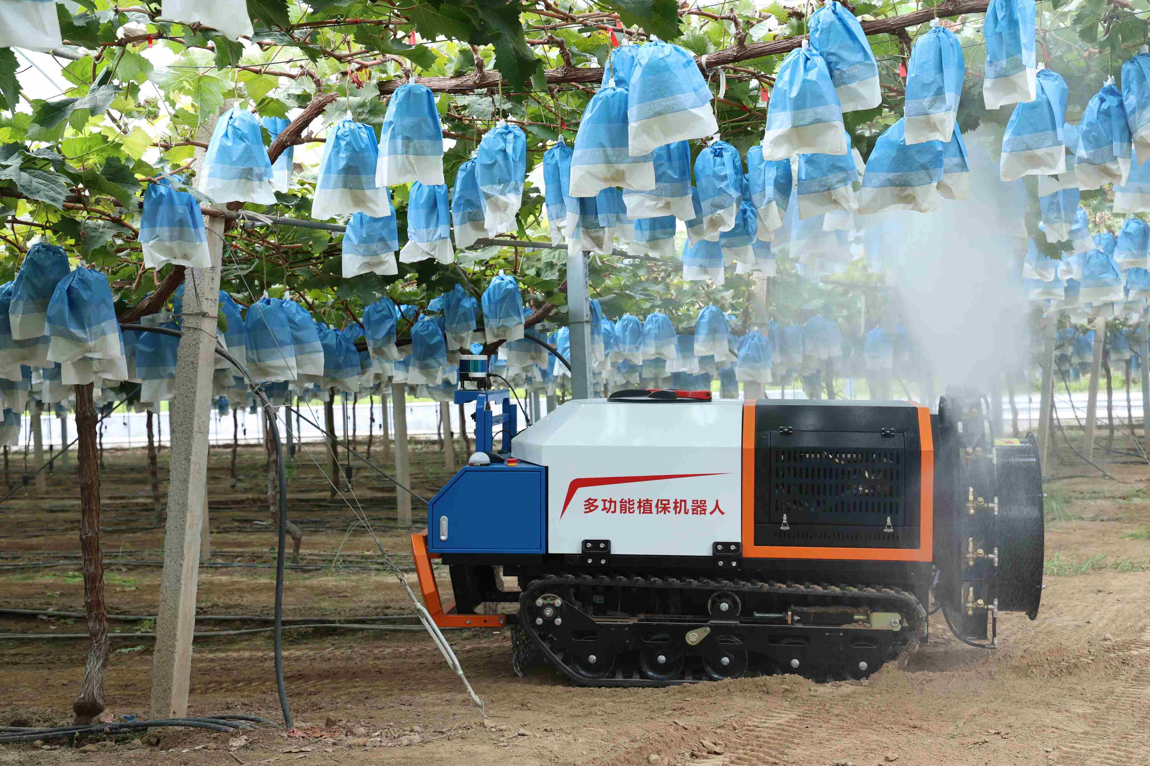 智慧农业：病虫害精准用药助力农田更安全