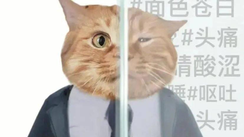 当战略大师重返沙场 三谋新赛季上演逆风翻盘好戏
